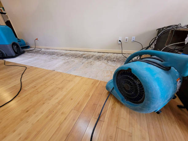 Professional Emergency Water Damage technician working in Hager City, WI